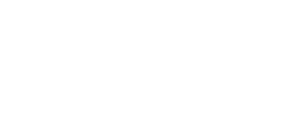 BlueKey IT